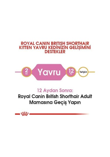 Royal Canin British Shorthair Yavru Kedi Maması 2 KG