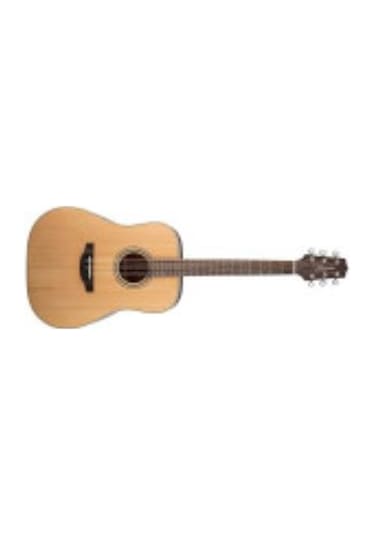 Takamine Gd20-Ns Akustik Gitar Kılıf + Askı + Pena