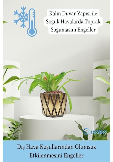 Saksı Çiçek Kaktüs Saksısı Lüx 15 Cm Baklava Desen Saksı Çiçeklik - Altın Eskitme