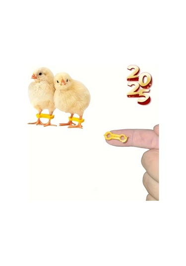 Willowhaven 7 Adet Civciv Bacak Desteği, Yeni Doğan Kuşlar İçin