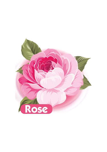 Baby Turco Gül Kokulu Islak Bebek Havlusu 24 X 90 Adet