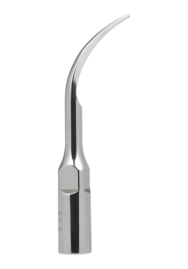 Wezone Ems Woodpecker İçin 10 Adet Paslanmaz Çelik Diş Ultrasonik Skaler Başlığı P1 Modeli