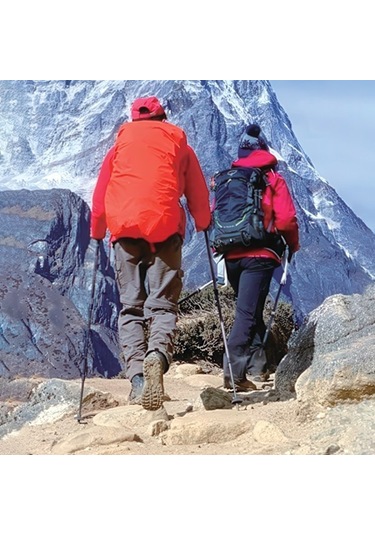 Nordic Walking Bastonları / Yürüyüş Bastonları / Yürüyüş Bastonları - Ayarlanabilir Yükseklik Çok Renkli