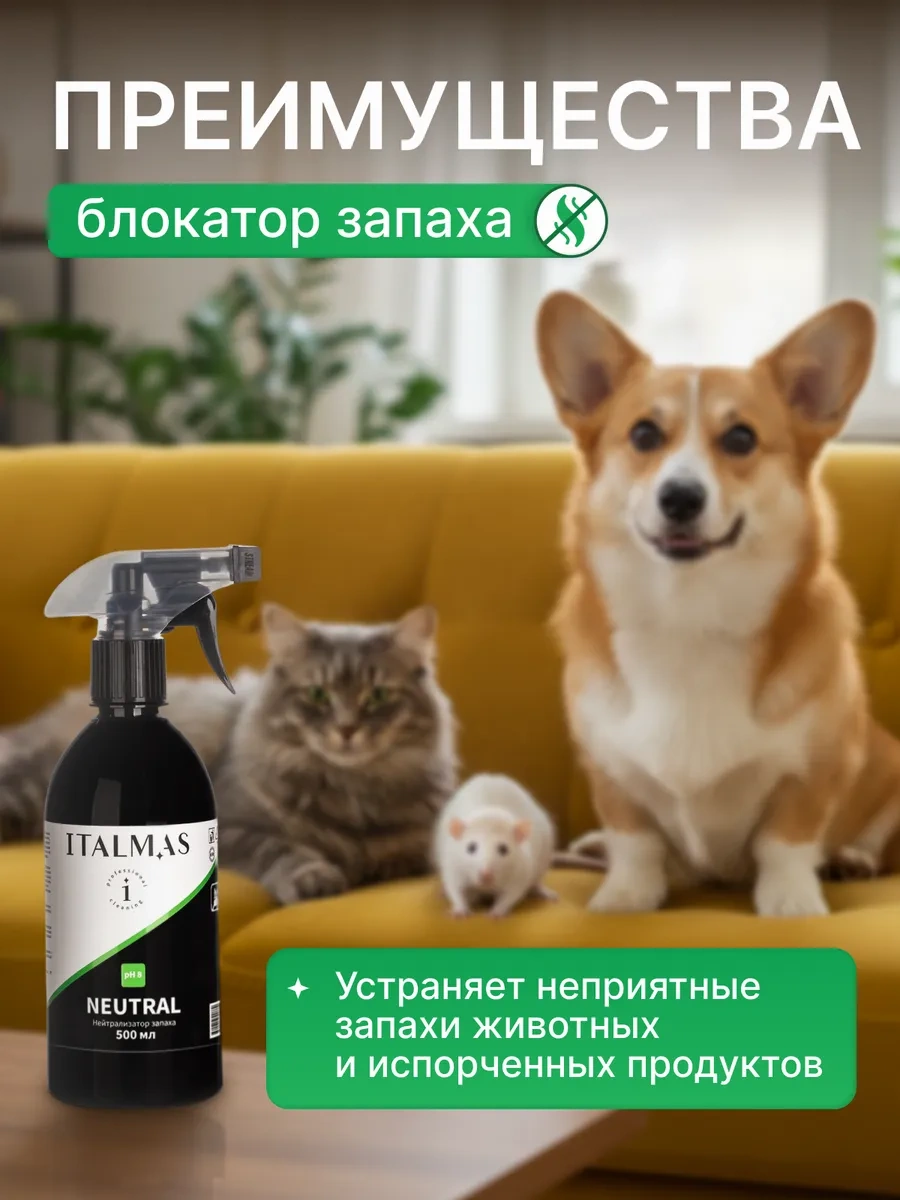 Italmas Professional Cleaning Evcil Hayvan Kokuları İçin Nötralizatör, Köpekler İçin Kedi İdrarı İzi Temizleyici 15342