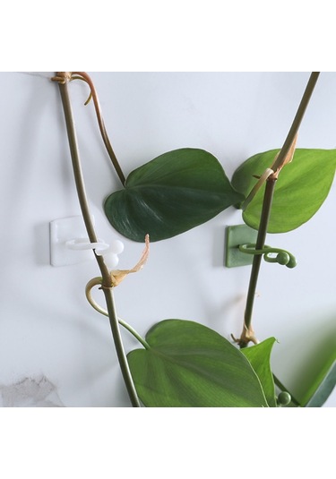 50pcs Bitki Tırmanma Duvarı Toka Asma Tracess Bitki Fixer Kendi Kendinden Yapışkan Kancalar Yeşil , Boyut:orta