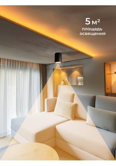 Profitec Lighting Spot 170542841 Siyah