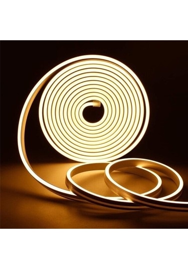 5 Metre 12 V Dış Mekan Günışığı Neon Led