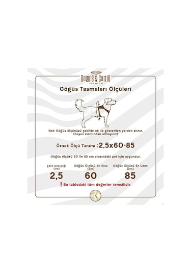 Cattie Havalı Dokuma Kedi Göğüs Ve Gezdirme Takımı Medium Kırmızı 1x25-35 Cm