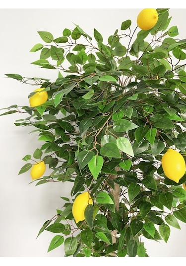 Yapay Limon Ağacı 180Cm Doğal Görünümlü Yapay Ağaç