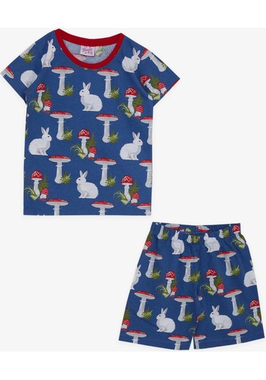 Breeze Kız Bebek Pijama Takımı Doğa Temalı Tavşancık Desenli 9 Ay-3 Yaş, Mavi-mavi Mavi