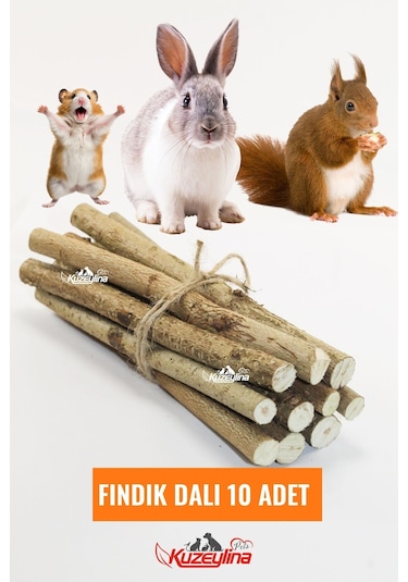Kemirgenler İçin Fındık Dalı - 10 Adet