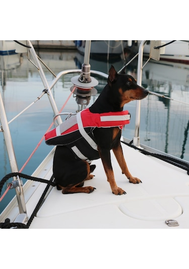 Lalizas Köpek & Kedi Can Yeleği