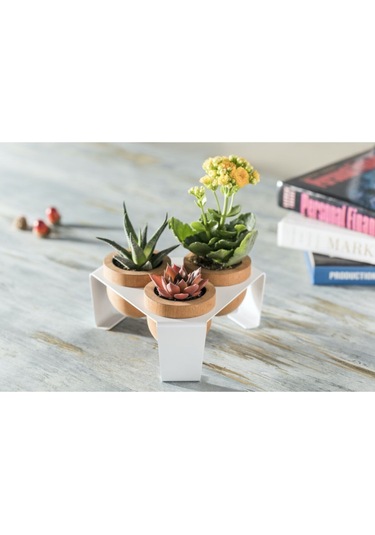 Halohope Metal Stantlı 3'lü Skulent Saksısı Beyaz Saksılık