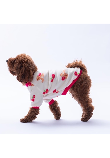 Teddy Bloom Ayıcık Ve Çiçek Desenli Sweat Kedi Köpek Sweati Kedi Köpek Kıyafeti Köpek Peluşu Sıcak Tutan Sweat
