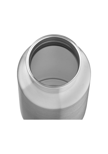 Esbit Pictor Paslanmaz Çelik Izoleli Termos Gümüş 0.55 L