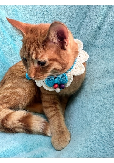 El Örgüsü Bncuklu Kedi Köpek Bağlama Tasma