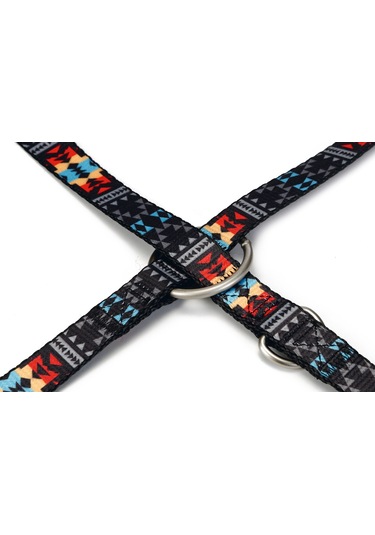 Beeztees Köpek Gezdirme Kayışı, Desenli, 200cm, 20mm Çok Renkli