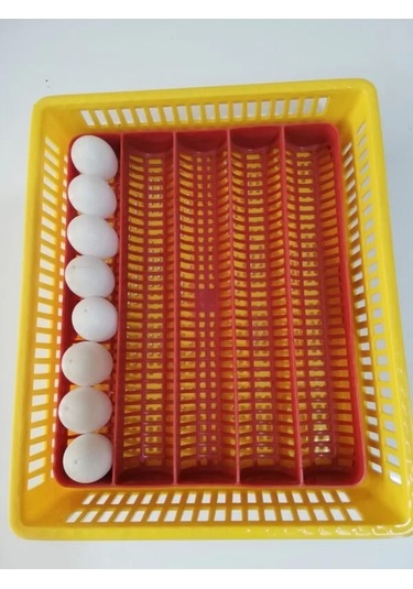 Gelişim ve Çıkım Tablası Küçük