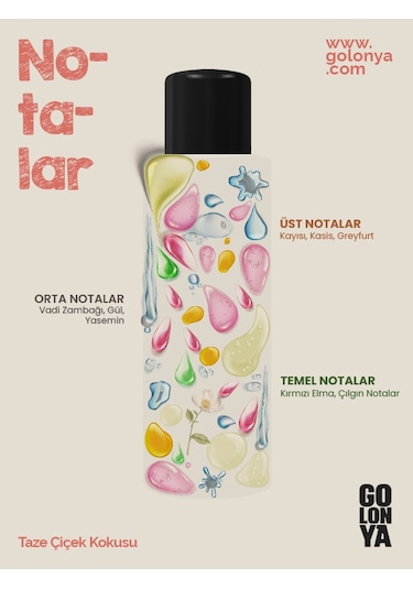 Golonya 4'lü Set - 250 ML