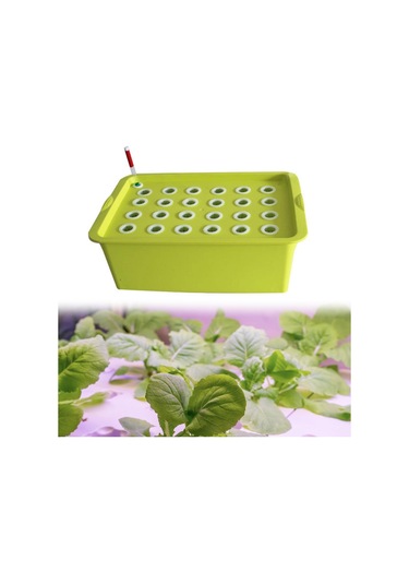 Suntek 24 Site Fidanlık Saksıları Parterre Bahçesi Yeşil