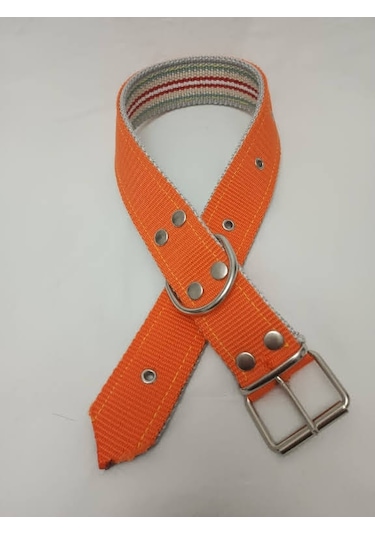 Kozaklı 10477 Büyük Irk Köpek Tasması Turuncu 70 x 4 CM