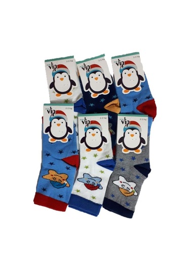 Hepsinerakip Lababy Renkli Desenli Pamuklu Erkek Bebek/Çocuk Çorabı 6 Lı Paket