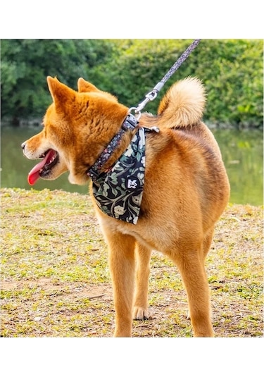 Honeybeeshop L Harness Ayarlanabilir Köpek Tasması Tasma Bandana Yaka Küçük Büyük Irklar İçin Nefes Alabilir Yumuşak Yürüyüş Ekipmanı Altın