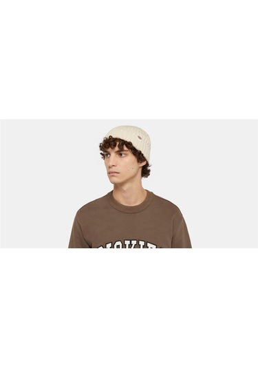 Dickies Lockwood Beanie Unisex Bere Gri