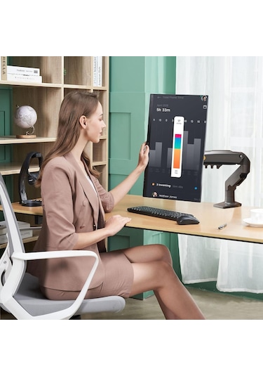 Nb North Bayou F80 17"-30" Amortisörlü 2-9 Kg Monitör Standı 2024 Gray Edition