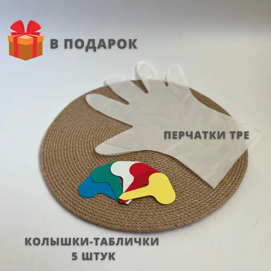 Suhanov S Home Çiçek Ve Bitkiler İçin 2 Litrelik Sulama Kabı 260496335