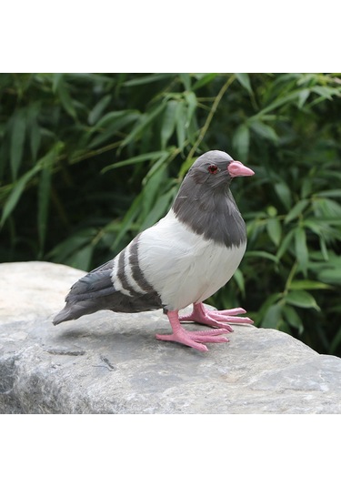 Suntek Simülasyon Güvercin Heykeli Zanaat Yard Avlu Daimi Gri