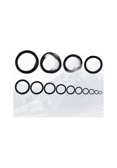 Springsun Seramik Levha İçeren Olta Rehber Halkaları Seti - Dayanıklı, Kolay Kurulum, Doğru Atış İçin Olta Aksesuarı Siyah, 80 Adet/kutu