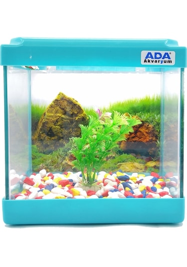 Ada Akvaryum Mini Akvaryum Seti Mavi 20 x 20 x 15 CM