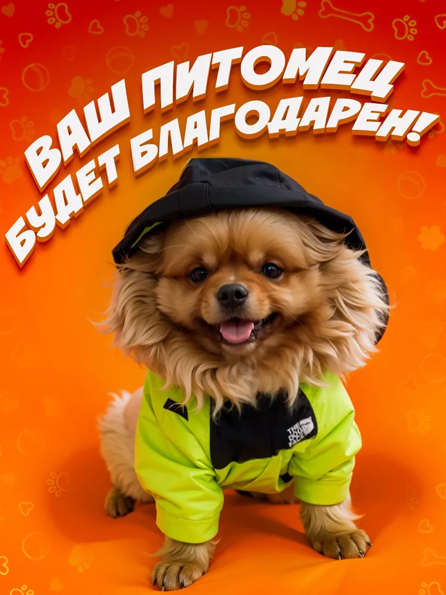 Doggo Küçük Ve Orta Boy Köpekler İçin Tulum 263893534