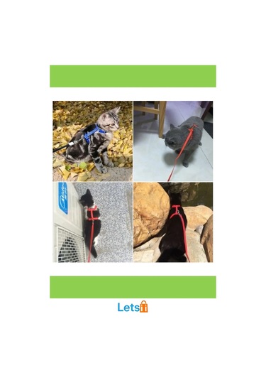 Ayarlanabilir Kedi Boyun Ve Göğüs Tasması Rahat Ve Güvenli