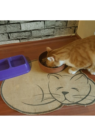 Pawaway Kedi Paspası Tuvalet Mama Kum Önü Taban 45 x 60 CM