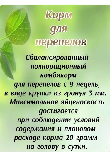 Fermerskij Dvorik Dk-52 Yumurta Tavuğu İçin İnce Taneli Yem 238934485