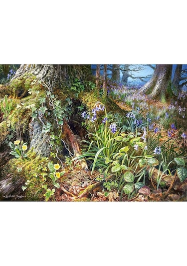 Castorland 2000 Parça From Rusland Woods Puzzle