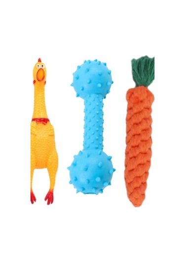 Vinil Köpek Oyuncağı - Silikon Frizbi Um49166-6 Yurt Dışından