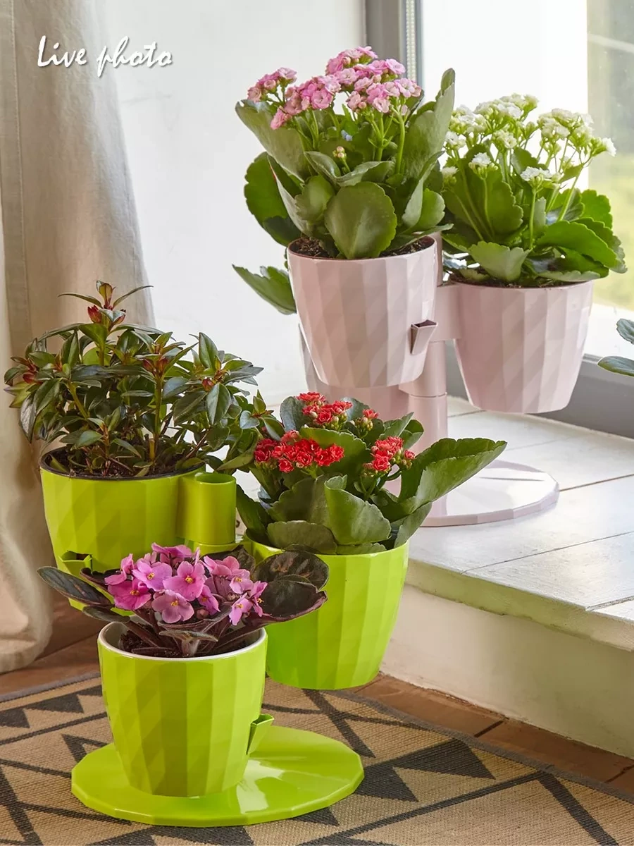 La Decoro Sukulent Saksıları, Menekşe Saksıları, Kaskad Saksılar. 120462503