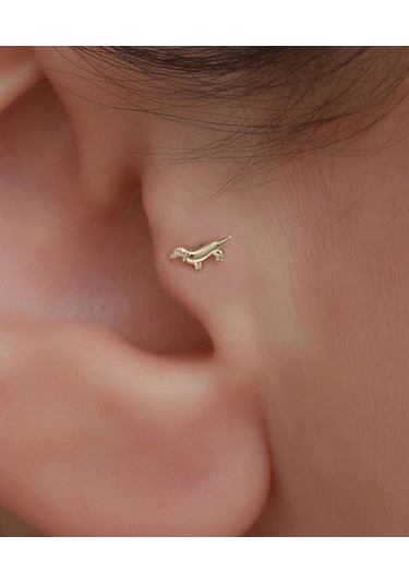 14 Ayar Altın Köpek Motifli Tragus Piercing Sarı Altın