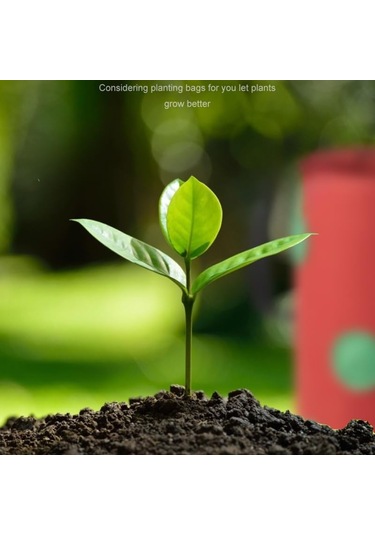 3 Galon Topsy Turvy Domates Ekici, 12 Delikli Asma Çilek Ekici, Nefes Alabilen Çilek Kumaş Sebzeler İçin Çantalar Yetiştirin 3 Paket