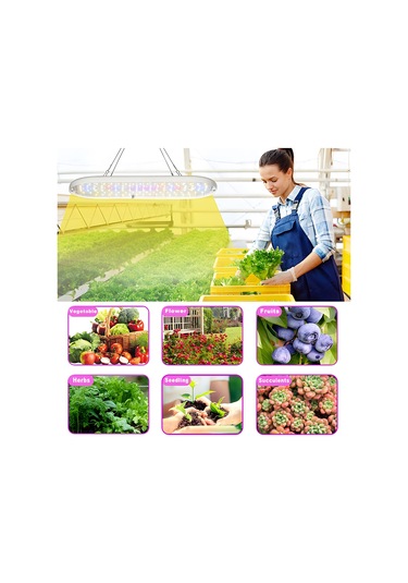 Maiyame 10w Tam Spektrum Bitki Büyüme Lambası - 2h/4h/8h Zamanlayıcı, 4 Seviye Parlaklık Ayarlamalı, Led Sera Ve İç Mekan Bitkileri Için Beyaz 220v Euro Şarjı Beyaz