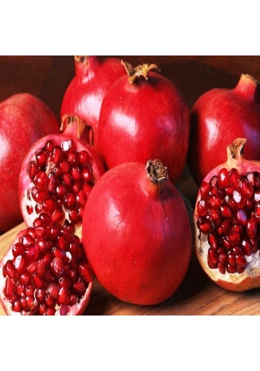 Tüplü Wonderful Nar Fidanı Sınırlı  Stok