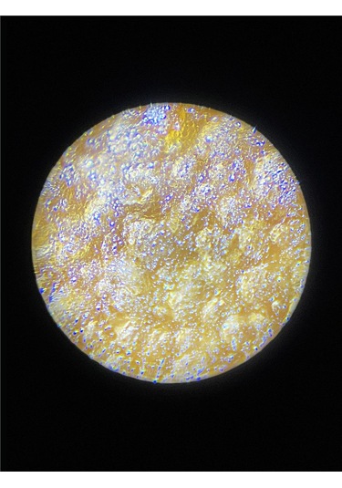 Carson Mp-250 Microflip 100x-250x Led Uv Cep Mikroskobu + 24 Adet Slayt Set