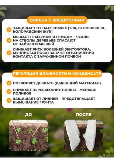 Sadovita Güller İçin Kış Koruma Örtüsü, Bitki Örtüsü. 460298501