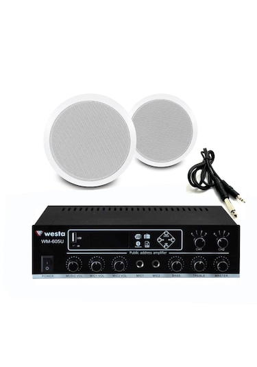 2 Li Beyaz Tavan Hoparlörlü Ses Sistemi Mağaza & Ofis Müzik Sistemi Bluetooth