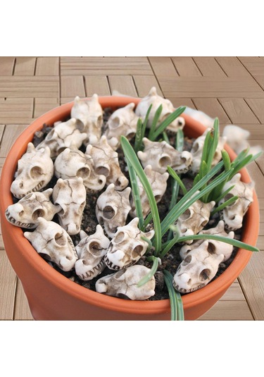 Suntek 20 Adet Ejderha Kemik Oyun Seti Heykel Vazo Dolgu 2.3cmx1.5cm