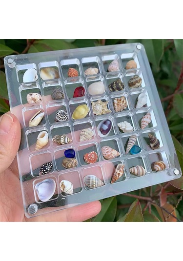 Akrilik Manyetik Deniz Kabuğu Gösterim Kutusu, Izgara Şeffaf Akrilik Deniz Kabuğu, F