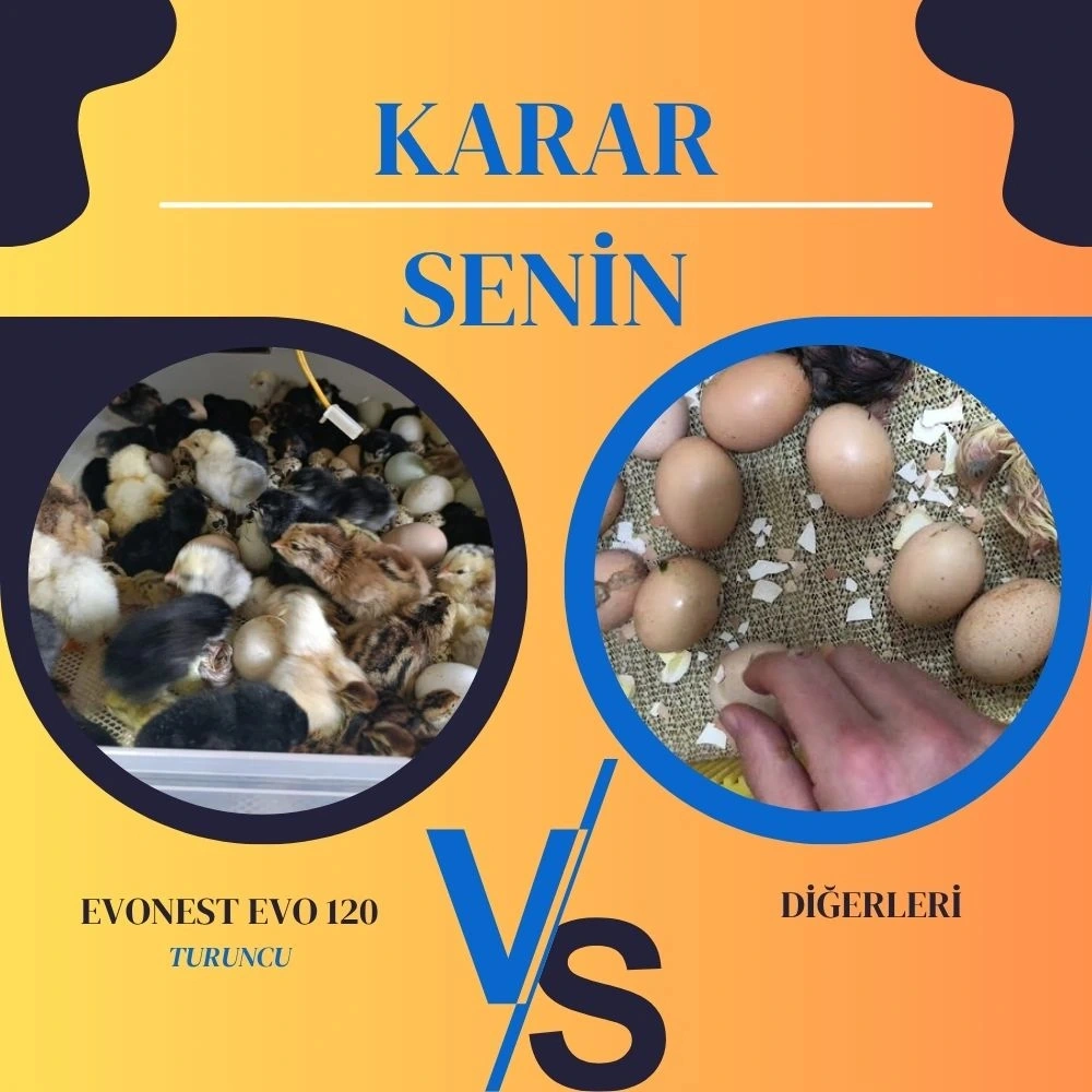 Kamera İlaveli Evonest 120 Yumurtalık Kuluçka Makinesi Otomatik Isı, Nem Ve Çevirme Kontrolü